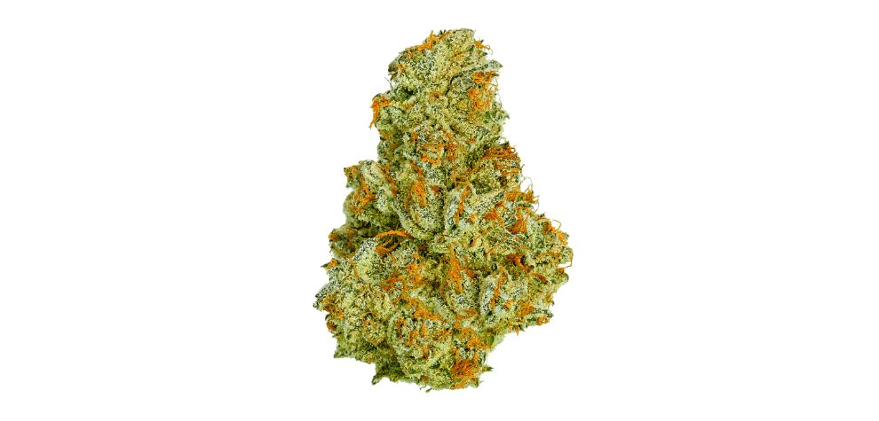 Throughout this guide, we'll provide you with all the must-know facts about the Sour Diesel strain. From its effects to medical benefits, terpene profile, flavours, and aromas, you’ll learn about it all! Scroll on.