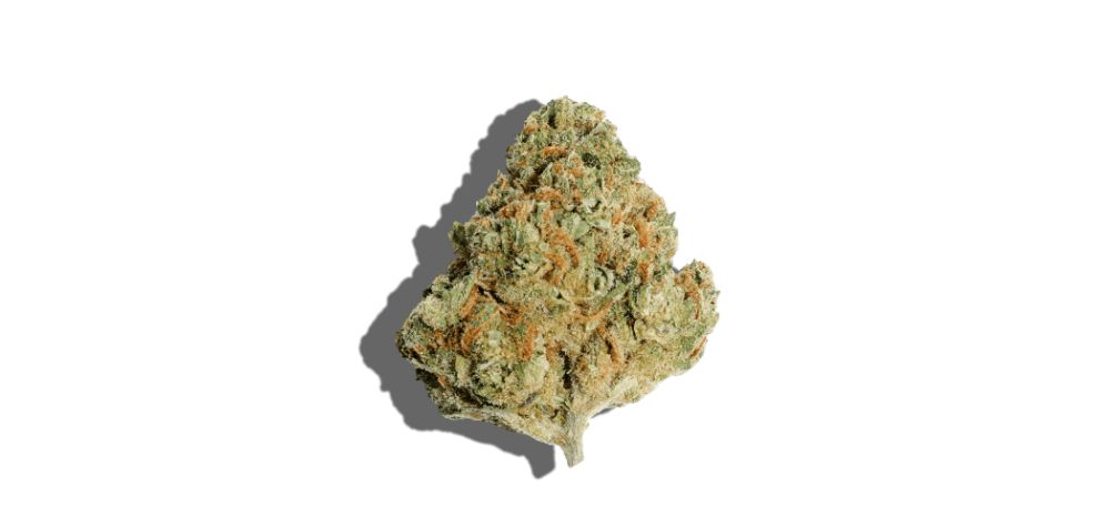 Sour Diesel is a Sativa-dominant hybrid strain with a THC content of around 26 percent. It has a unique aroma and flavour profile with notes of citrus, diesel, and skunk. 