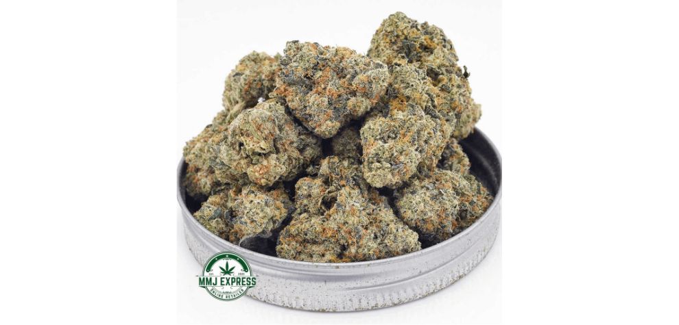 The Sunshine Sunflower AAAA is a powerful Sativa dominant hybrid (70% Sativa and 30% Indica) that delivers dominant cerebral effects. 