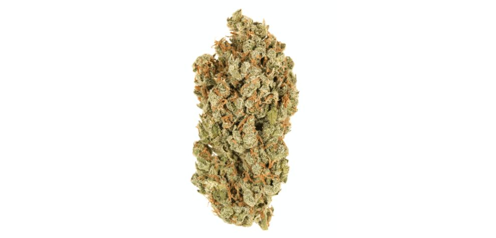 Durban Poison is an ultra-rare, pure Sativa strain that is an inbred descendant of another Sativa cultivated in South Africa. 