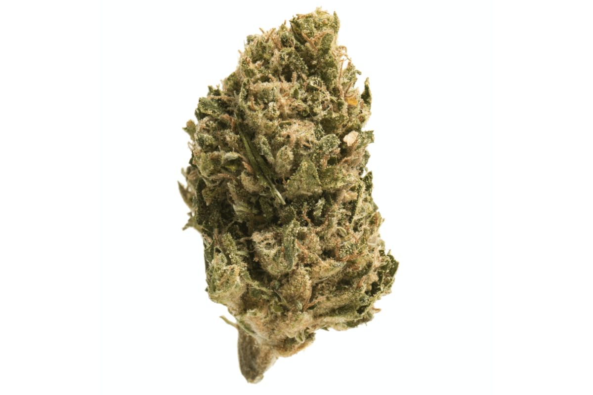 The Sour Diesel strain is the perfect Sativa to fuel your energy and motivation and help you power through your workouts. 
