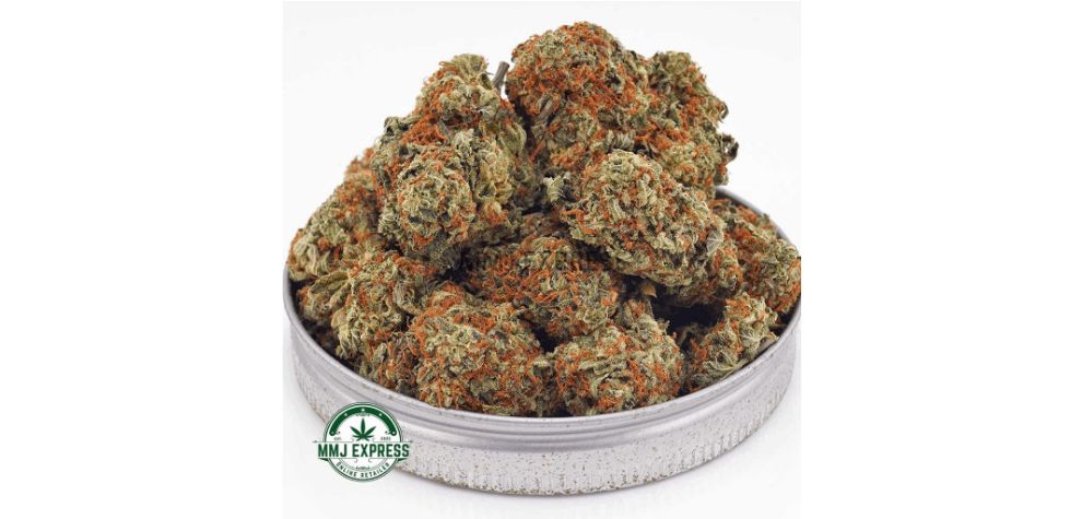 The Afghan Haze AA is an Indica-dominant strain that offers a milder high with its THC content of around 18 percent. 