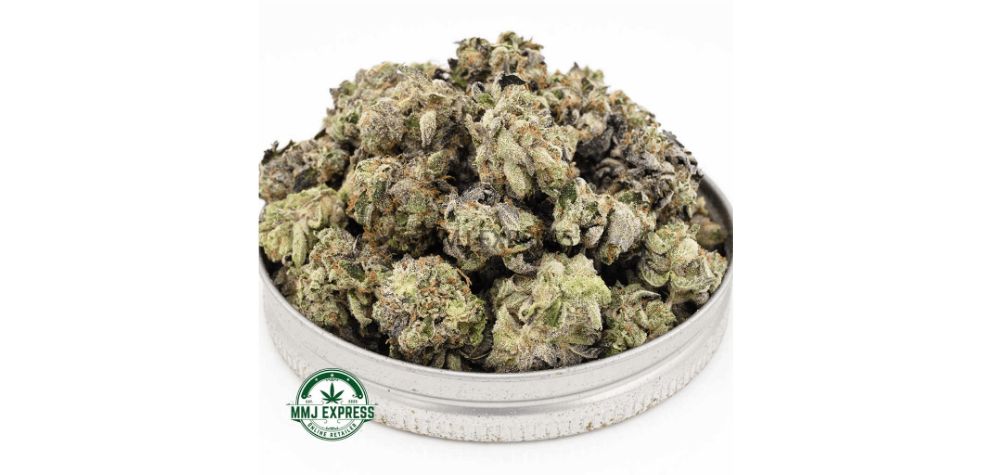 The Atomic Gas cultivar is a coveted strain renowned for its well-balanced effects and one-of-a-kind flavour profile. 