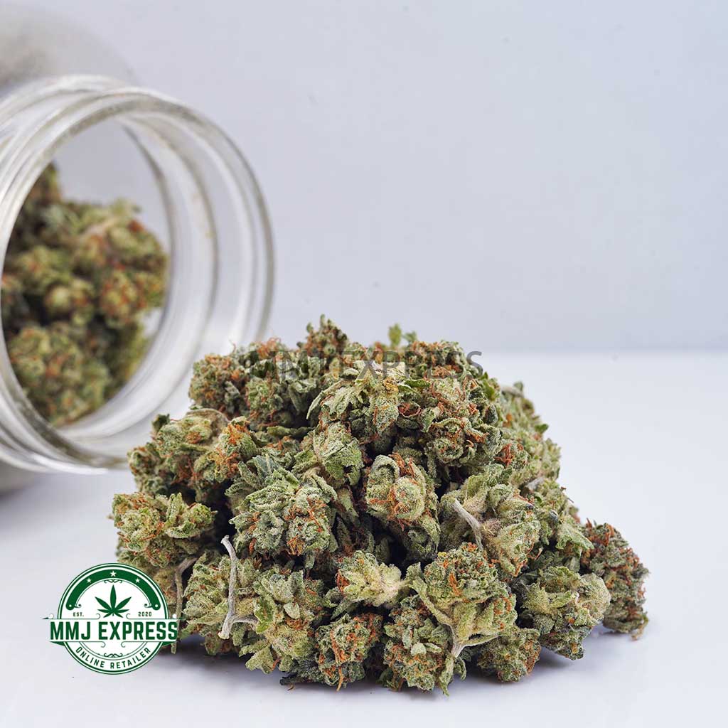 Buy Cannabis Amnesia Haze AAA (Popcorn Nugs) at MMJ Express Online Shop