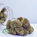 Buy Cannabis Biscotti AAAA at MMJ Express Online Shop