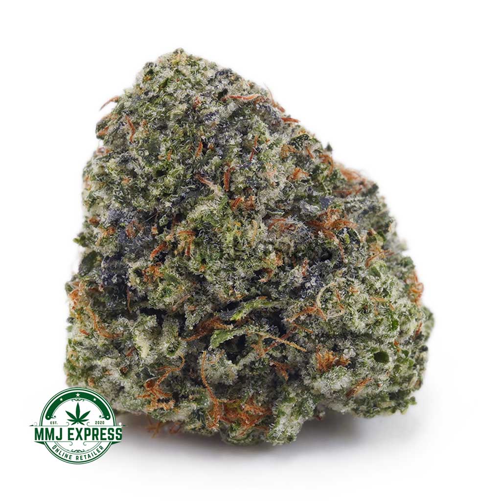 Buy Cannabis Blueberry Bomb AAA at MMJ Express Online Shop