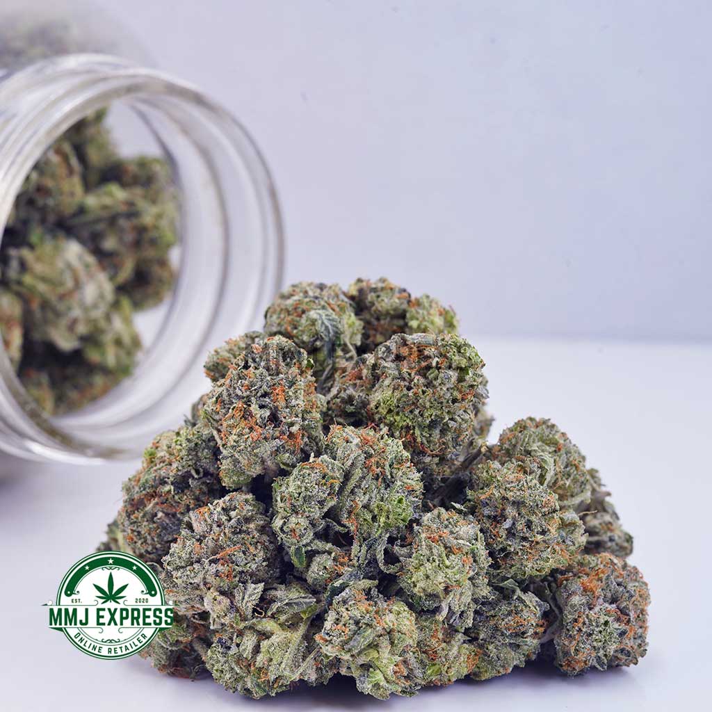Buy Cannabis Blueberry Bomb AAA at MMJ Express Online Shop