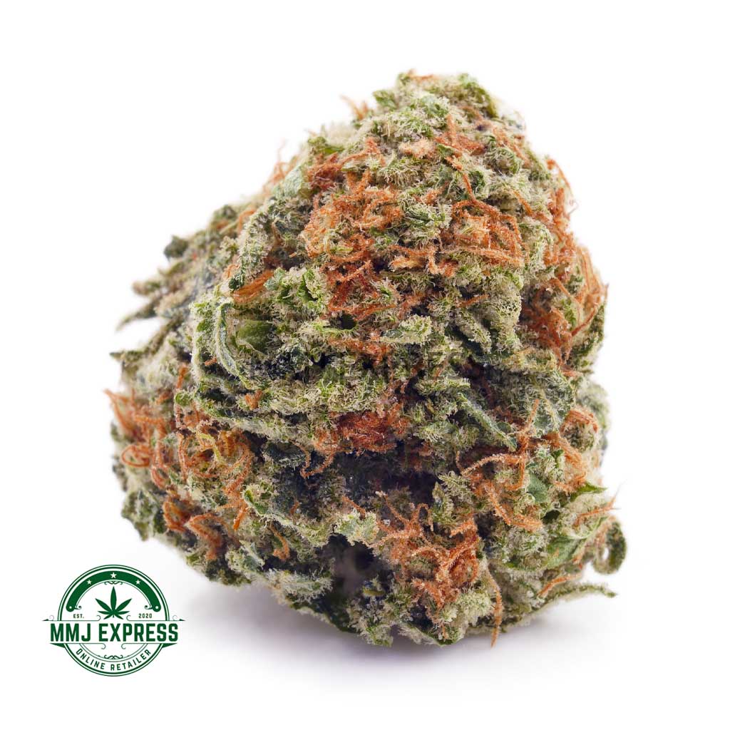 Buy Cannabis Sunset Sherbet AA at MMJ Express Online Shop