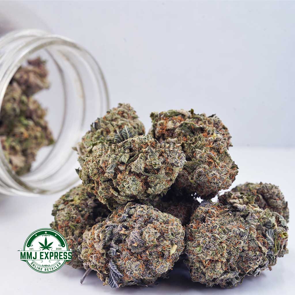 Buy Cannabis Pine Tar Kush AAA at MMJ Express Online Shop