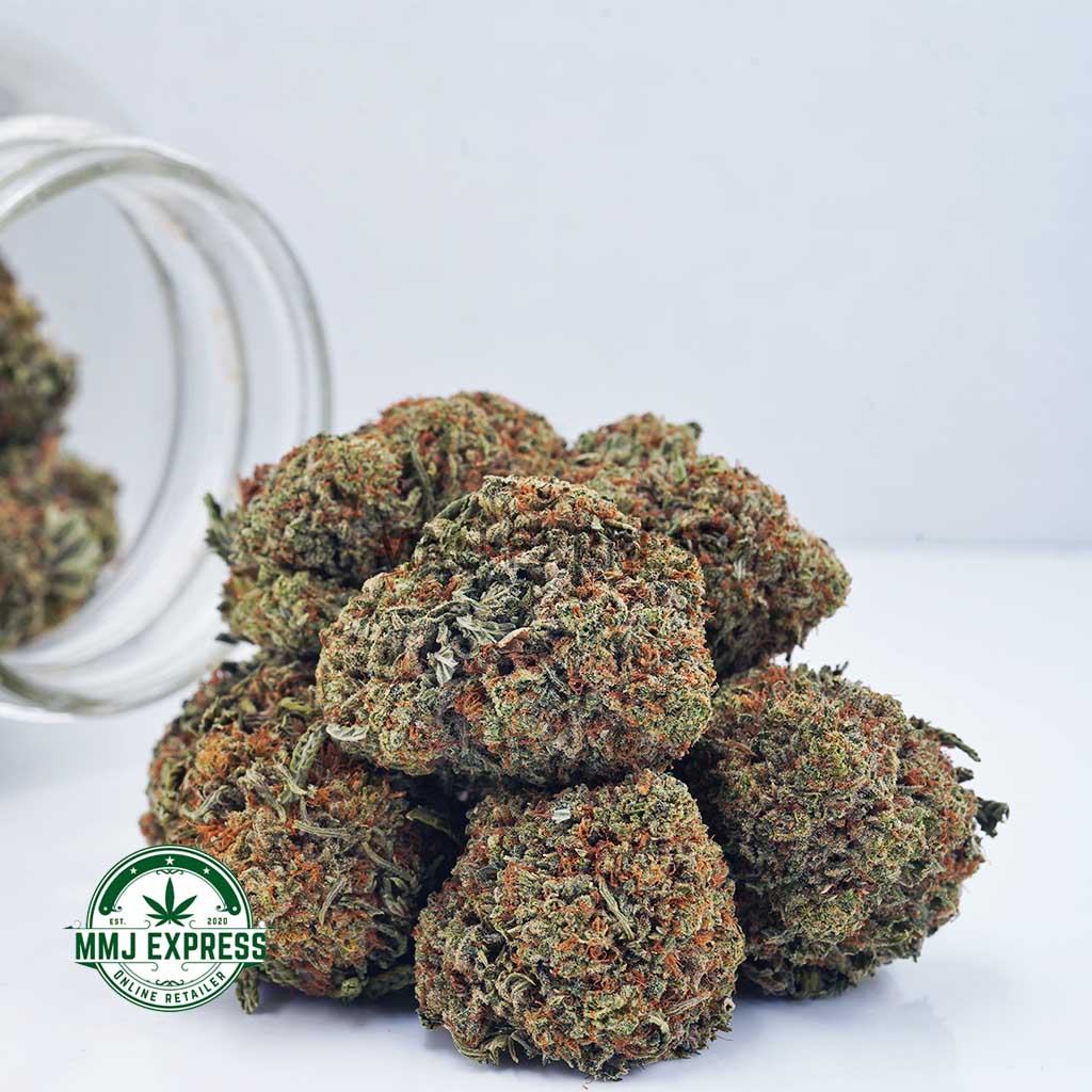 Buy Cannabis Cookies Kush AA at MMJ Express Online Shop