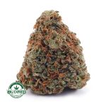 Buy Cannabis Lemon Diesel AAA at MMJ Express Online Shop