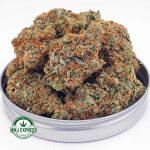 Buy Cannabis Lemon Diesel AAA at MMJ Express Online Shop