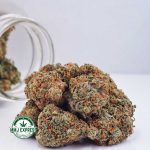 Buy Cannabis Lemon Diesel AAA at MMJ Express Online Shop