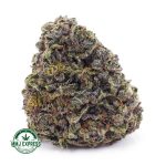 Buy Cannabis Ghost OG AA at MMJ Express Online Shop