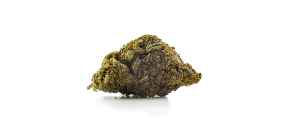 Blue Coma weed strain is a rare sativa dominant hybrid that originated from British Columbia, the cannabis capital of Canada.