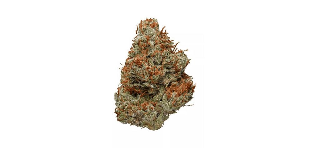 Blue Coma weed strain has a very robust terpene profile that determines how the strain smells, tastes and even impacts the effects through the entourage effect.