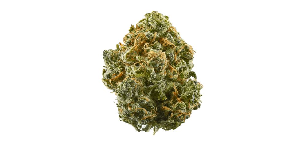 The Blue Dream strain is a masterful blend of 60 percent Sativa and 40 percent Indica so you can expect predominant cerebral and energizing effects with lots of sedation.