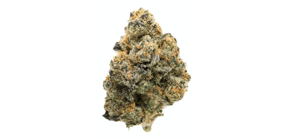 We proudly offer access to the highest-grade and most potent Girl Scout Cookies strain on the market. 