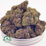 Buy Cannabis Sunset Sherbet AA at MMJ Express Online Shop