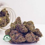 Buy Cannabis Sunset Sherbet AA at MMJ Express Online Shop