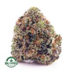 Buy Cannabis Death Star AAA at MMJ Express Online Shop