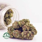 Buy Cannabis Death Star AAA at MMJ Express Online Shop