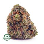 Buy Cannabis Hindu Kush AA at MMJ Express Online Shop