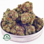 Buy Cannabis Hindu Kush AA at MMJ Express Online Shop