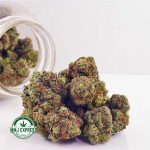 Buy Cannabis Hindu Kush AA at MMJ Express Online Shop