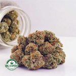 Buy Cannabis Pineapple Haze AA at MMJ Express Online Shop