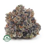 Buy Cannabis Motorbreath AAAA+, Craft at MMJ Express Online Shop