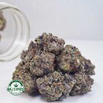 Buy Cannabis Motorbreath AAAA+, Craft at MMJ Express Online Shop