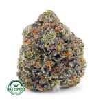 Buy Cannabis Purple Trainwreck AAAA at MMJ Express Online Shop