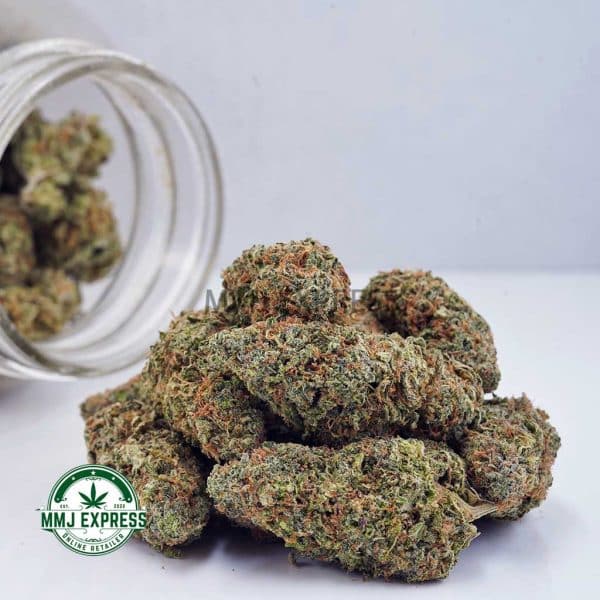 Buy Cannabis Nirvana AAAA at MMJ Express Online Shop