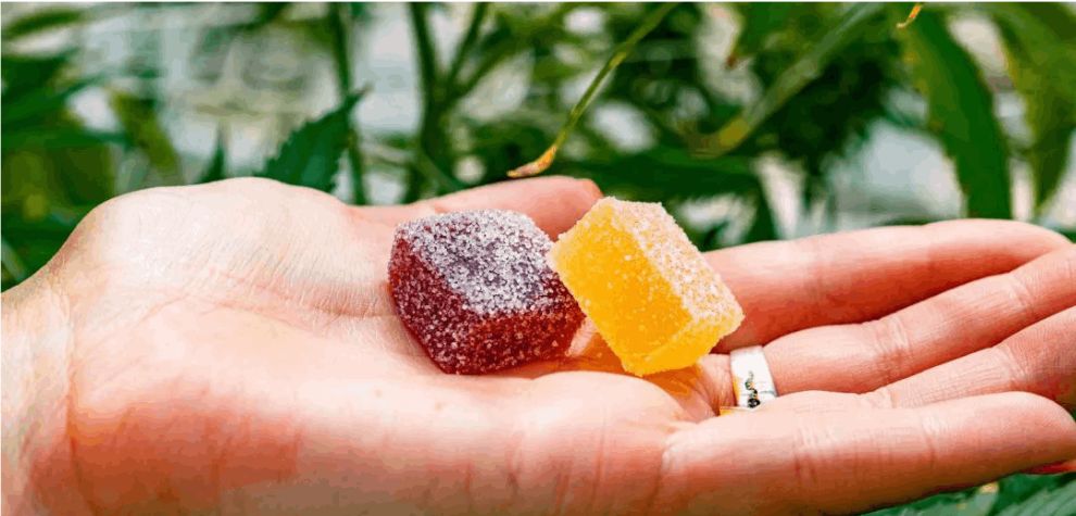 If you're after a different way to enjoy your cannabis that's both tasty and convenient, cannabis edibles might be your perfect match. 