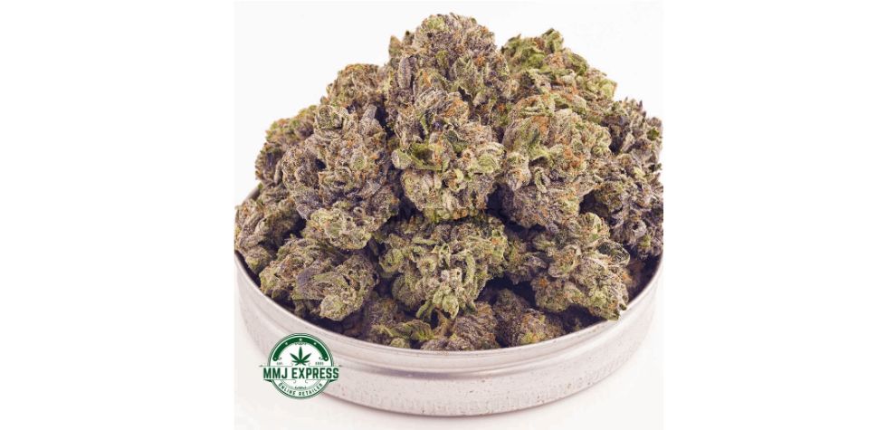 The GMO Crasher AAAA (Popcorn Nugs) is a top-shelf Indica strain that exemplifies the calming nature of Indicas. With its impressive THC content of 26 percent, this bud offers a potent experience that can provide relief for various medical conditions.