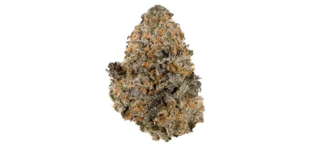 The variance of THC levels across dispensaries notwithstanding, Gelato is generally considered to possess a moderately high THC content of approximately 21%. 