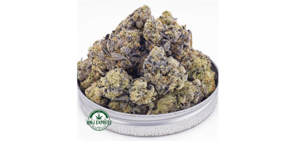 Looking for affordable sativa strains that won’t compromise on quality? The Golden Goat AAAA is the perfect choice for budget-conscious buyers seeking a fantastic high. 