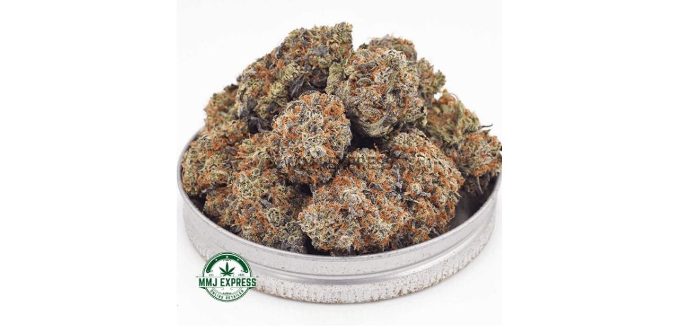 Grape Stomper, also known as “Sour Grapes,” is a highly sought-after Sativa-dominant hybrid strain in the cannabis community. 