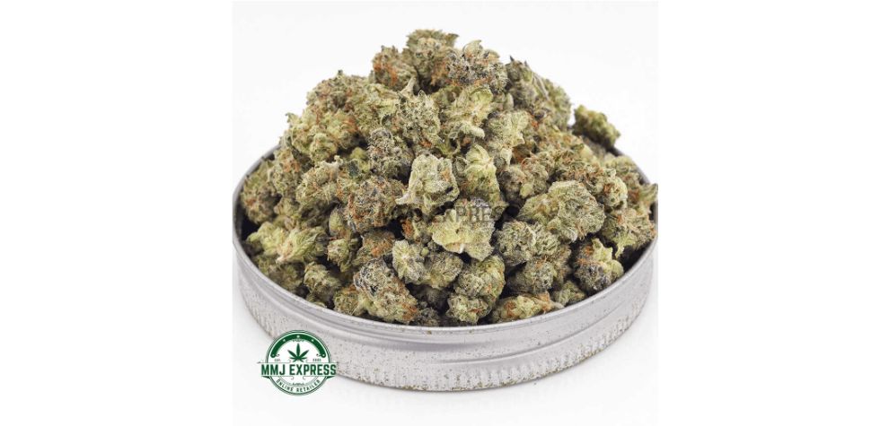 The Ice Cream Cake AAAA (Popcorn Nugs) is an Indica strain that offers a salivating experience reminiscent of a delectable dessert. Indica strains have a reputation for providing enjoyable flavours, and the Ice Cream Cake AAAA is a perfect example of that.