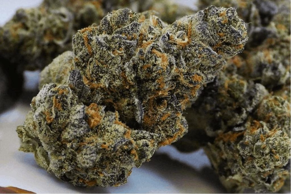 These top 10 Indica strains will change your life forever and make the debilitating symptoms fade away for good. 