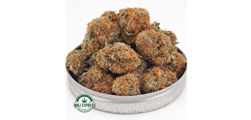 Kali Mist AA is just more than eye candy, it is beautiful with a personality, and it's as potent as it can get. This sativa strain has 17% THC content, facilitating a powerful cerebral high.