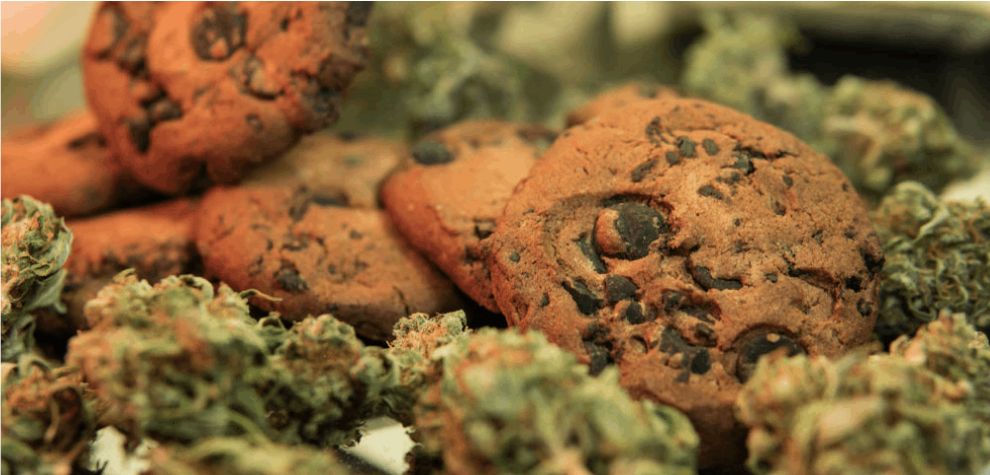 If you store your cannabis edibles away from exposure to these four factors, you can expect them to remain fresh, tasty, and potent for a long time. These few tips may help: 