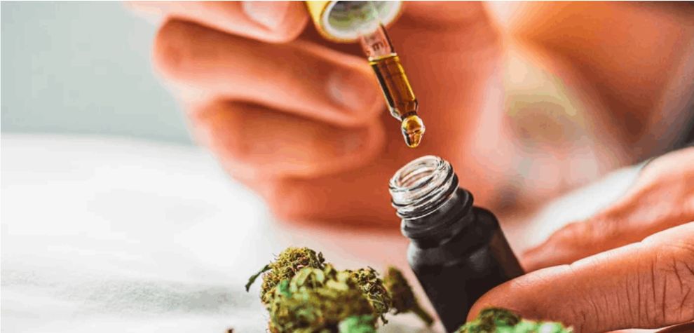 The utilization of oils as a means of marijuana consumption has been gaining popularity in recent times due to their potency and versatility. 