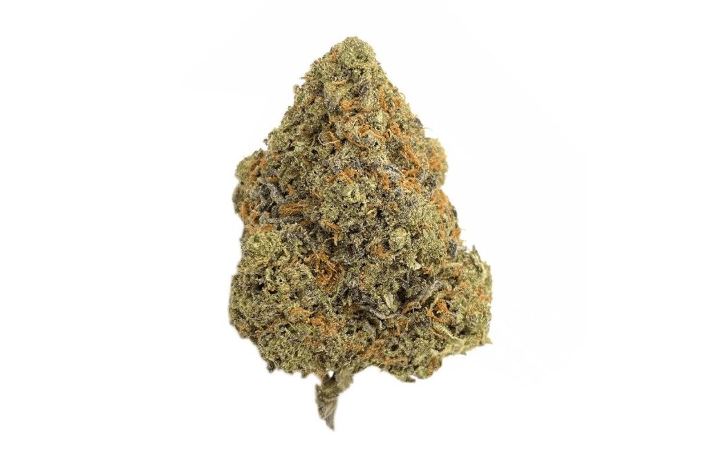 In this Gelato strain review, we'll delve into the various therapeutic benefits that the Gelato strain can provide, making it a preferred choice for many medical cannabis users. 