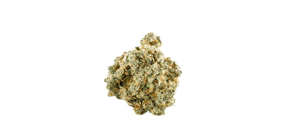 Sativa strains resemble the espresso of the cannabis world, delivering a cerebral high that sparks creativity, enhances focus, and uplifts with euphoria. 