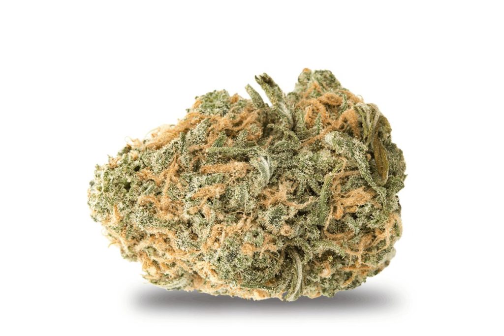 Snag the best without a hitch and learn where and how to buy weed online like the Blue Dream. Keep scrolling for the best Blue Dream strain review you'll ever come across!