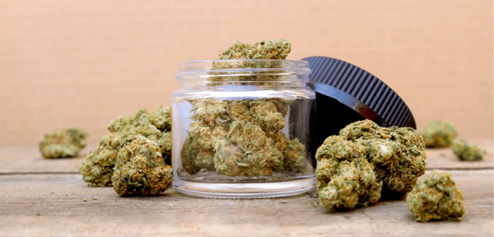 Do Sativa strains have a distinct flavour and aroma? Is there a common quality among all Sativas? Well, you can’t put all Sativa strains in a box. However, most Sativa strains usually come with a potent fragrance and flavour.