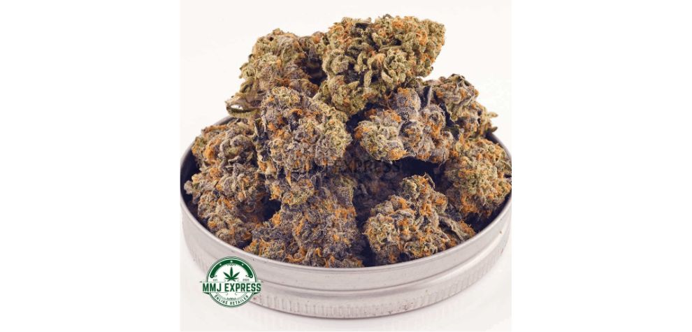 White Widow is a highly sought-after hybrid strain that has been around since the early 1990s. It is a cross between a Brazilian sativa and a South Indian Indica. 