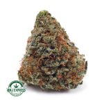 Buy Cannabis Silver Haze AA at MMJ Express Online Shop
